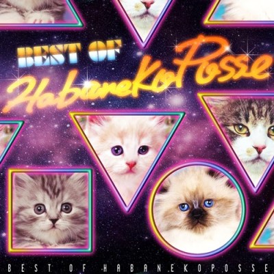 best of HABANEKO POSSEと「私の好きな猫の本」