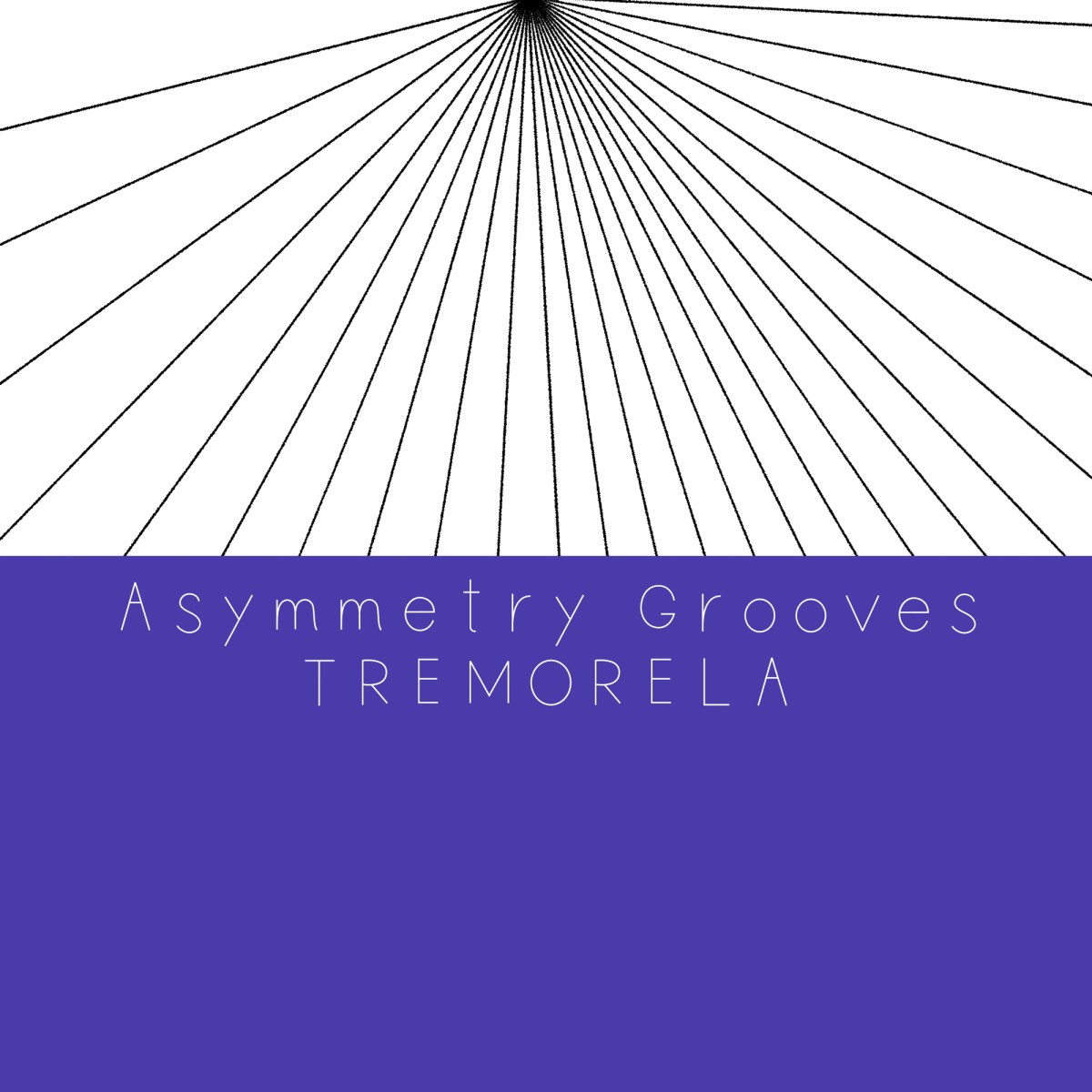Asymmetry Grooves (Digital /2023.7.31)