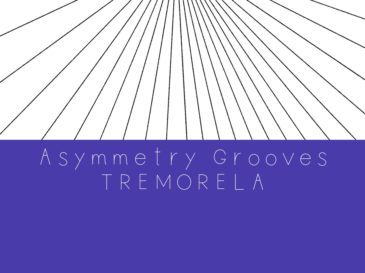 Asymmetry Grooves (Digital /2023.7.31)